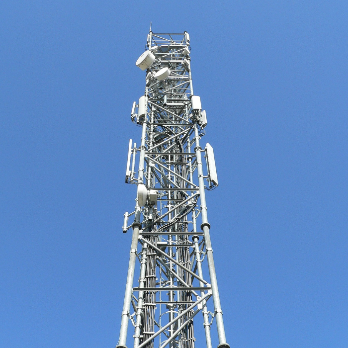 Wireless Network Service